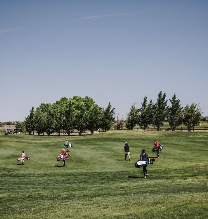 Golfers carrying their bags across a tree-lined course
